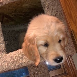 Meet your Posher, Jared